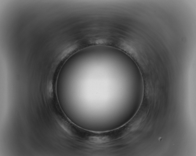 X0000088150251200705211202