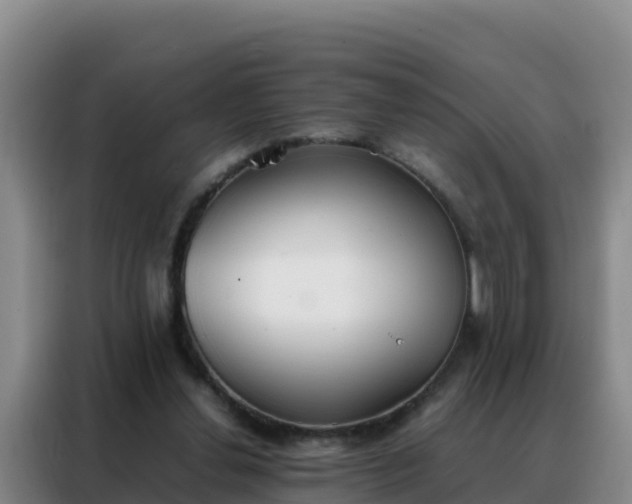 X0000088150252200705211202