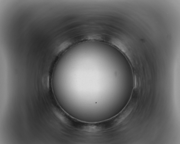 X0000088150253200705211202