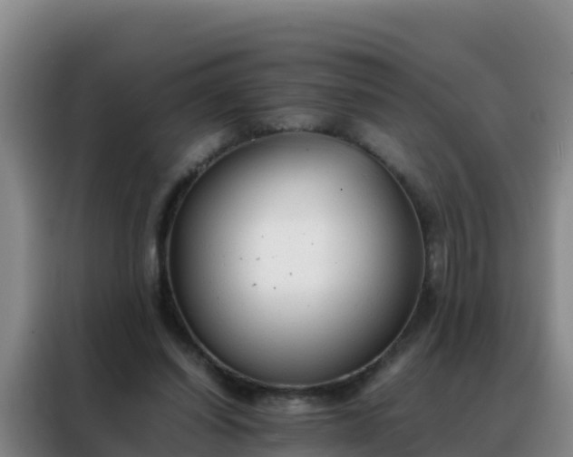 X0000088150254200705211202