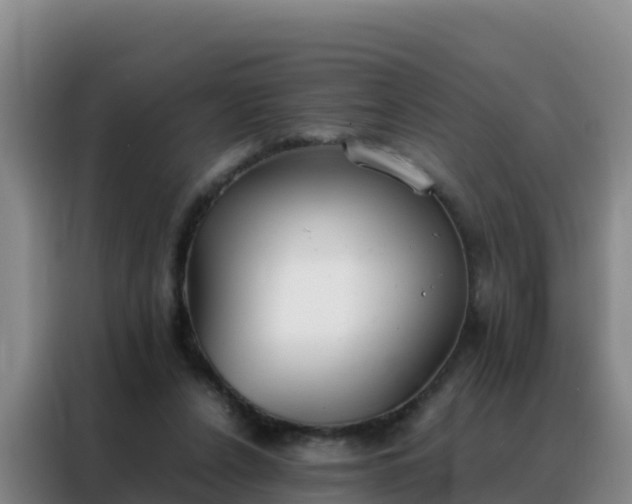 X0000088150256200705211202