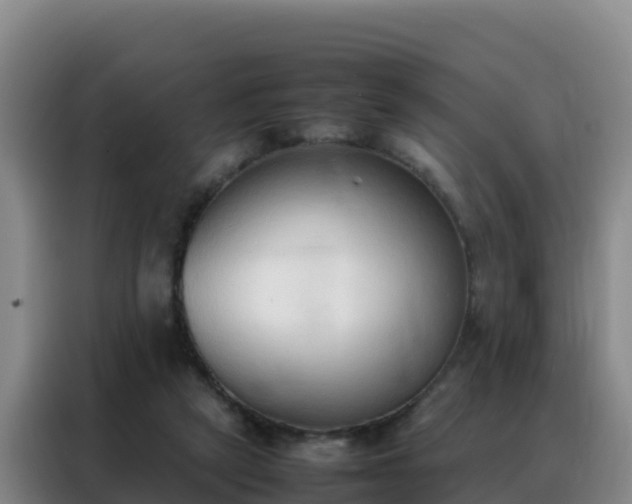 X0000088150257200705211202