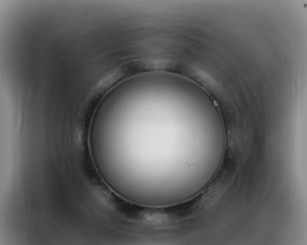 X0000088150258200705211202