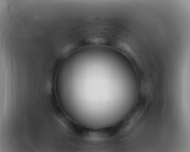 X0000088150259200705211202