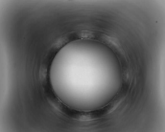 X0000088150263200705211202