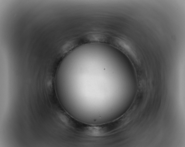 X0000088150265200705211202