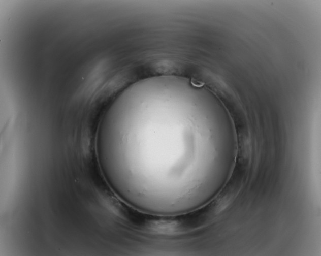 X0000088150266200705211202