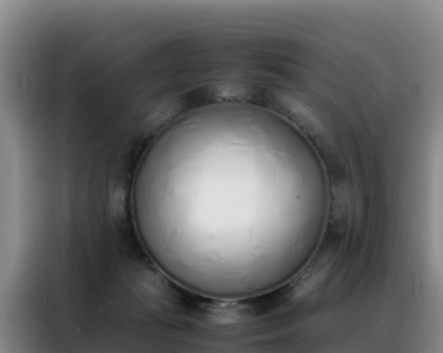 X0000088150269200705211202