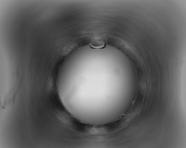 X0000088150270200705211202