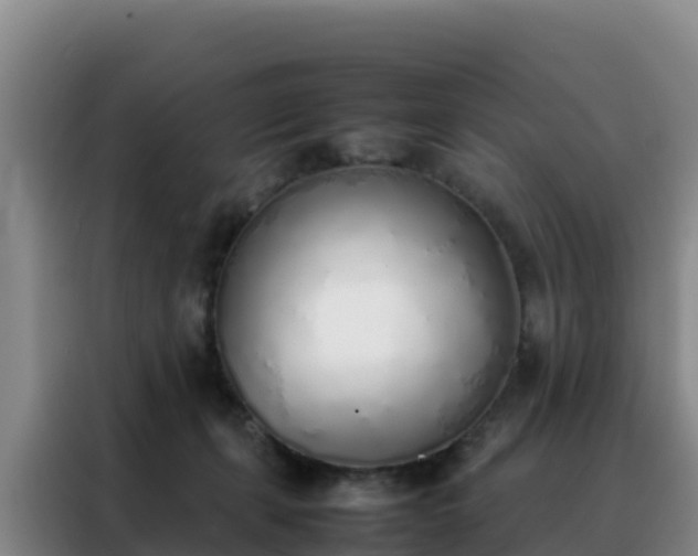 X0000088150271200705211202