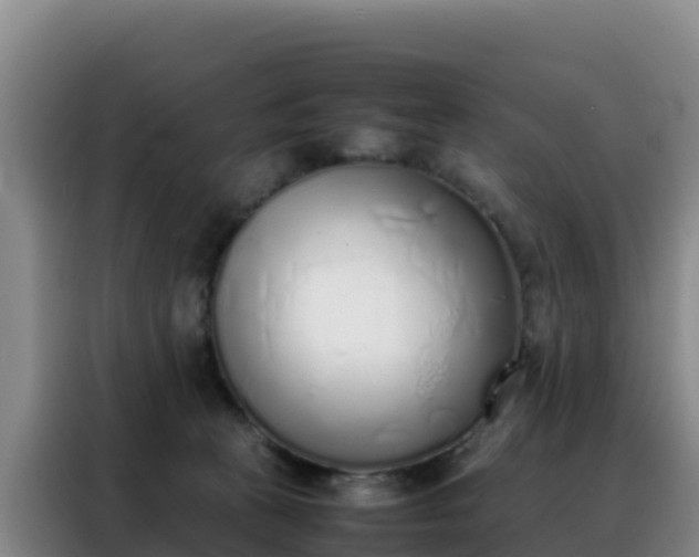 X0000088150273200705211202