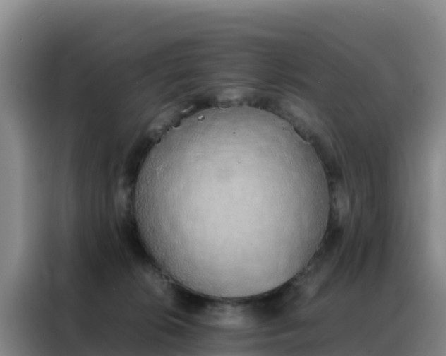 X0000088150276200705211202