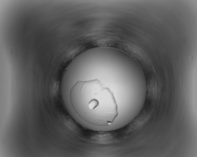 X0000088150278200705211202