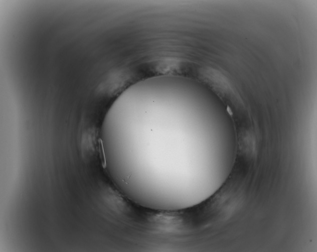 X0000088150280200705211202