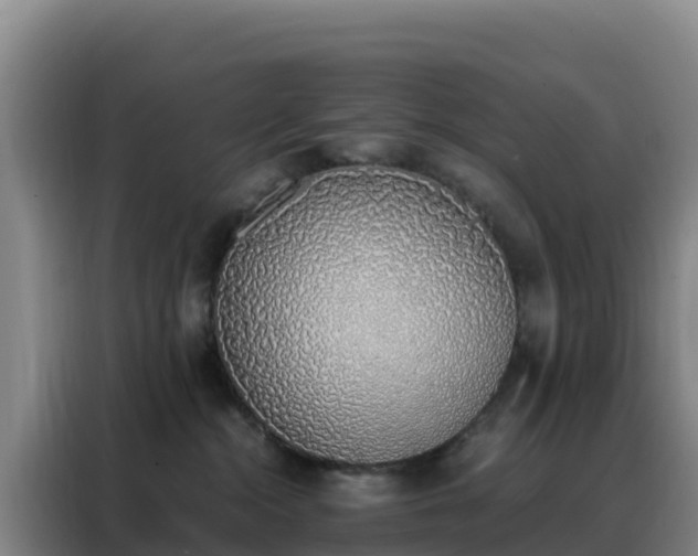 X0000088150284200705211202