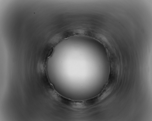 X0000088150285200705211202