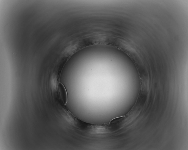 X0000088150287200705211202