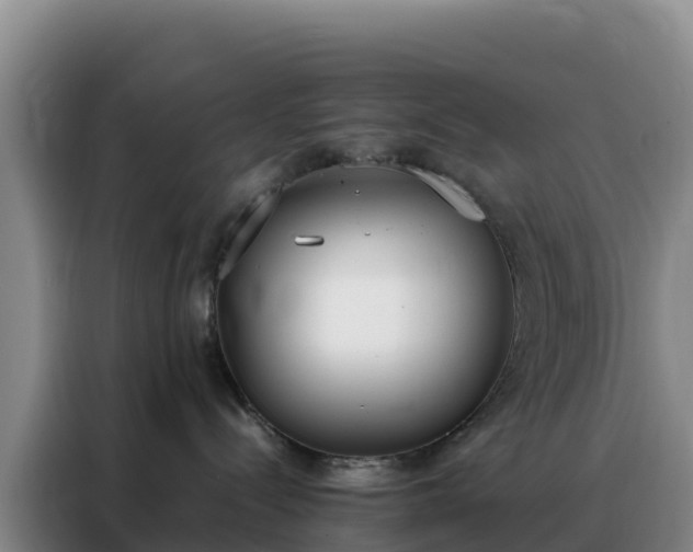 X0000088150288200705211202