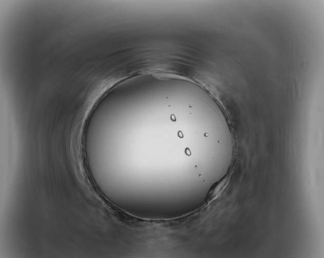 X0000088150289200705211202