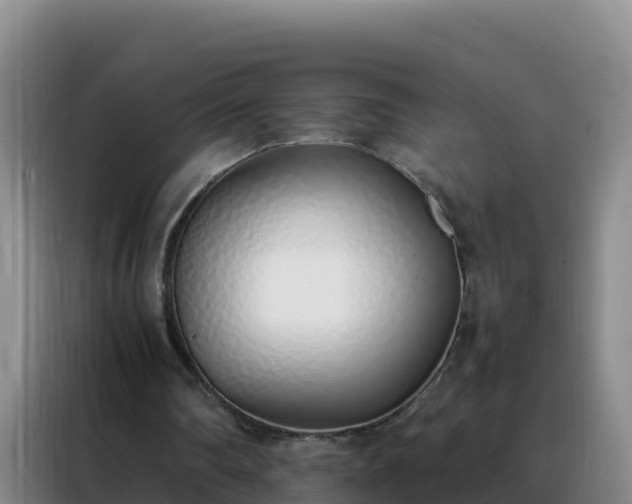 X0000088150290200705211202