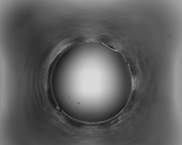 X0000088150291200705211202