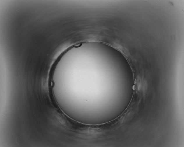 X0000088150292200705211202