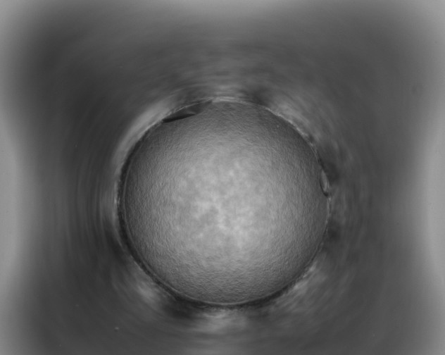 X0000088150293200705211202