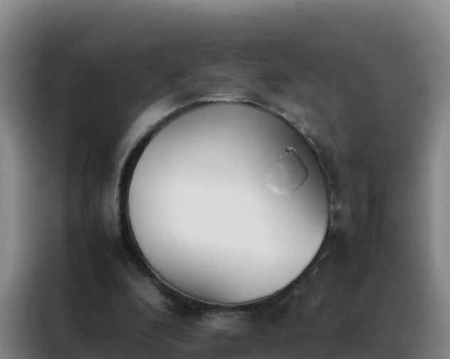 X0000088150296200705211201