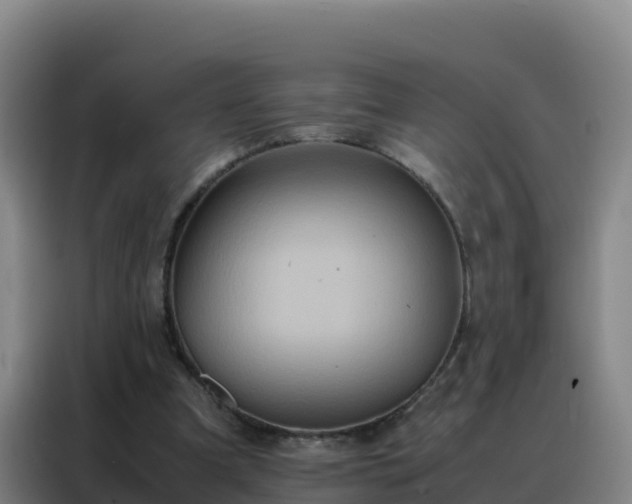 X0000088150297200705211201