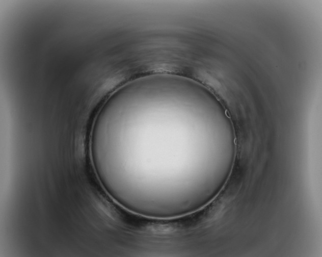 X0000088150299200705211201