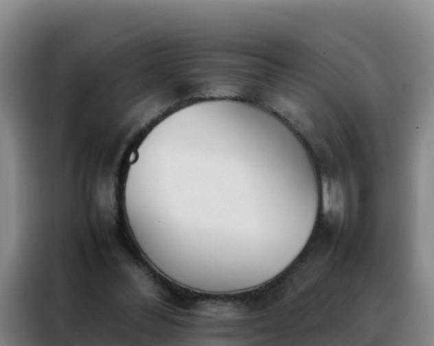 X0000088150300200705211201