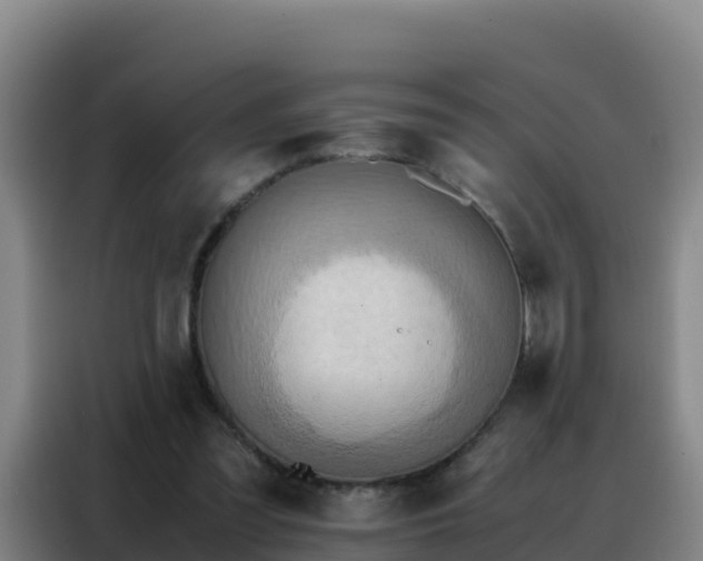 X0000088150301200705211201