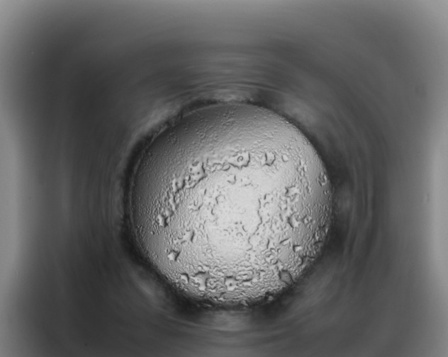 X0000088150303200705211201