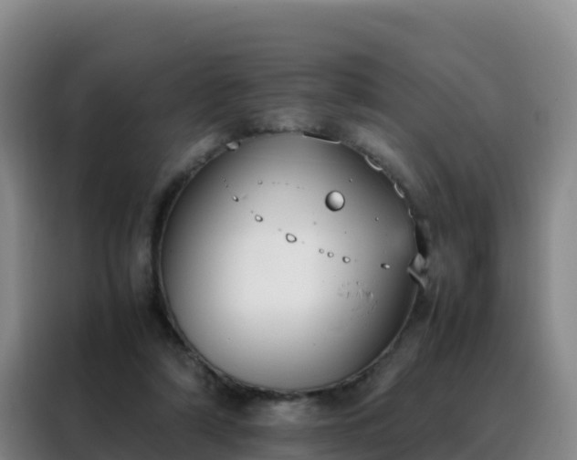 X0000088150306200705211201