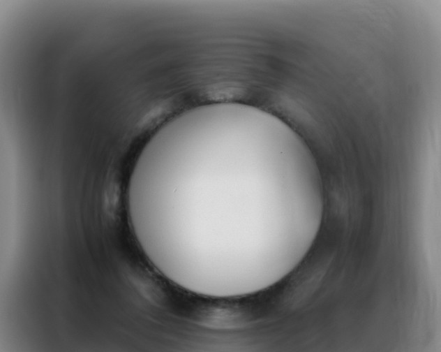 X0000088150308200705211201