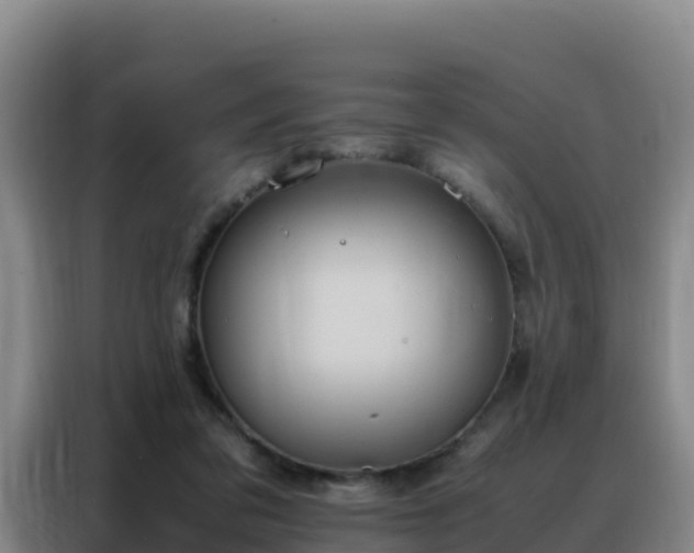 X0000088150309200705211201