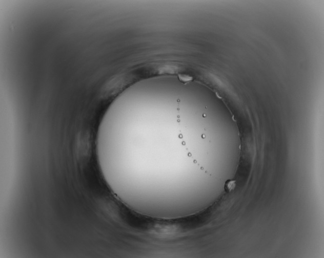 X0000088150311200705211201