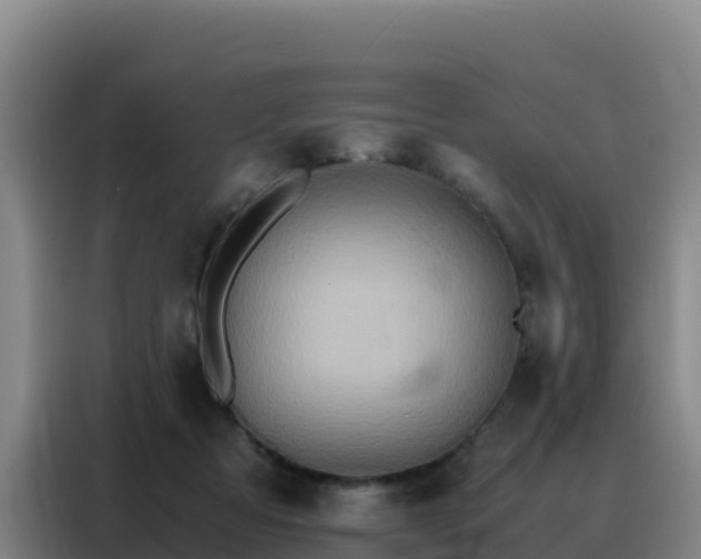 X0000088150313200705211201