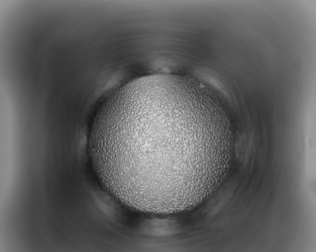 X0000088150314200705211201