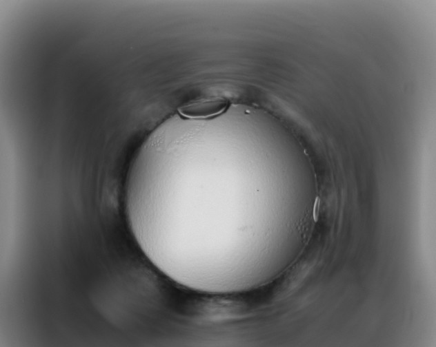 X0000088150315200705211201