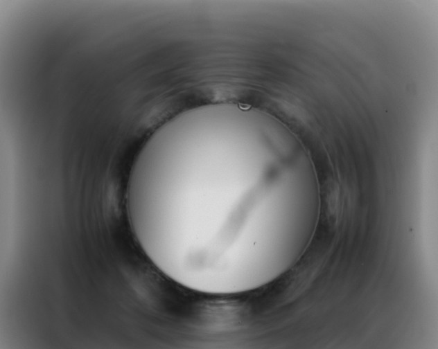 X0000088150316200705211201