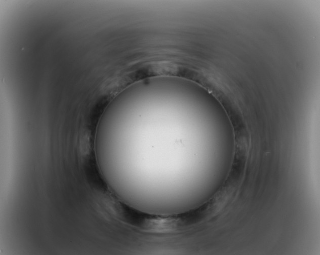 X0000088150323200705211201