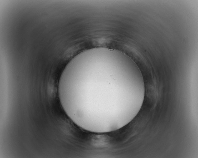 X0000088150324200705211201