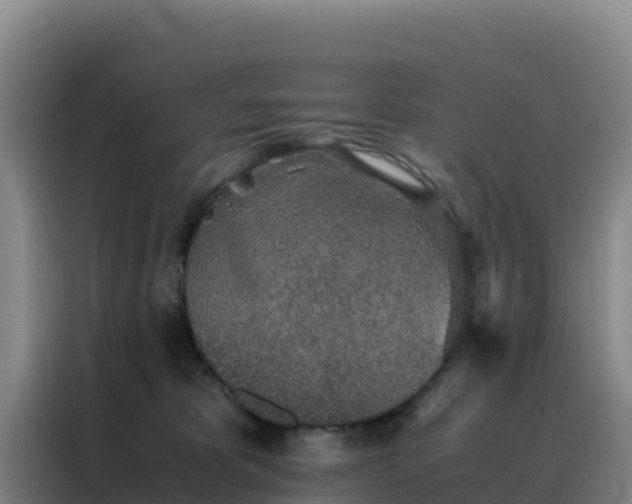 X0000088150325200705211201