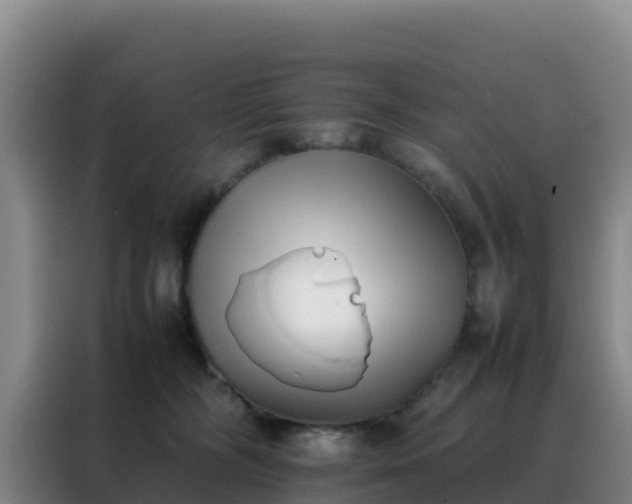 X0000088150326200705211201