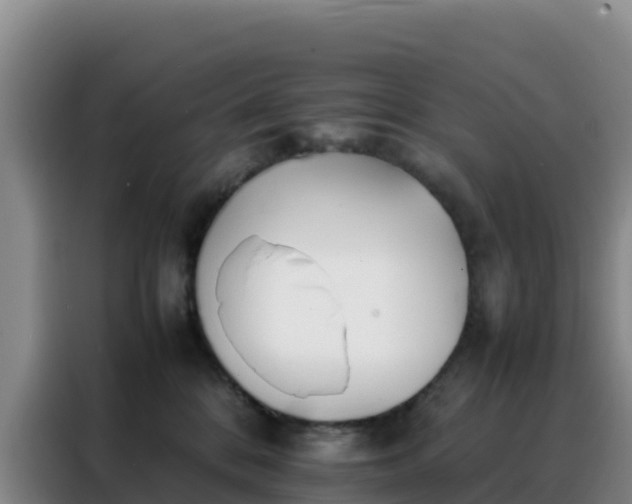 X0000088150328200705211201