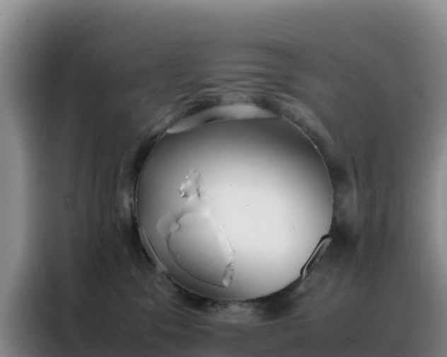 X0000088150329200705211201