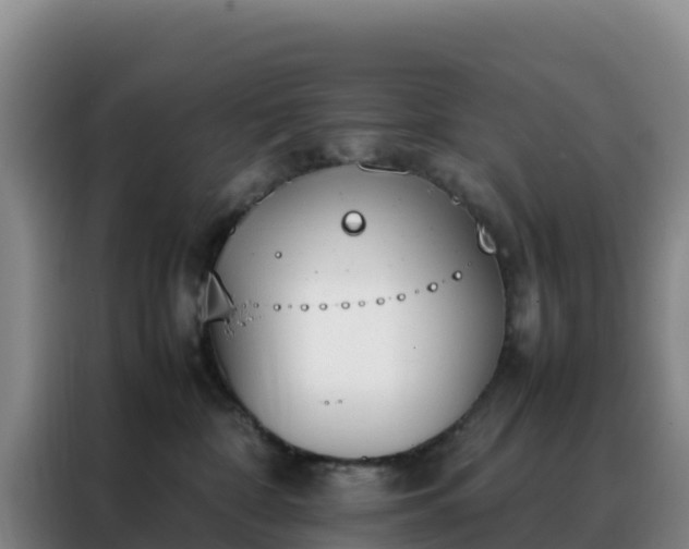 X0000088150332200705211201