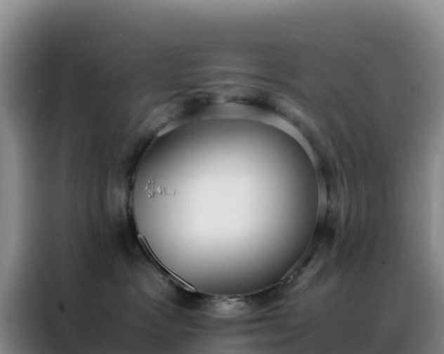 X0000088150333200705211201