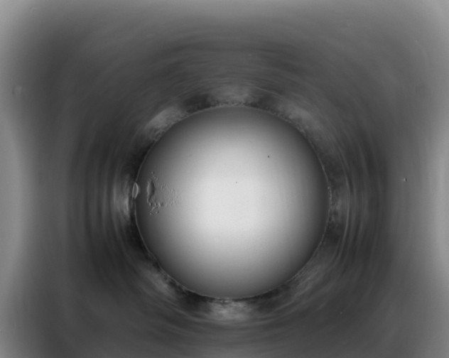 X0000088150334200705211201